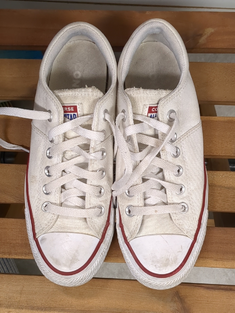 Converse Low Top Canvas Sneakers in White